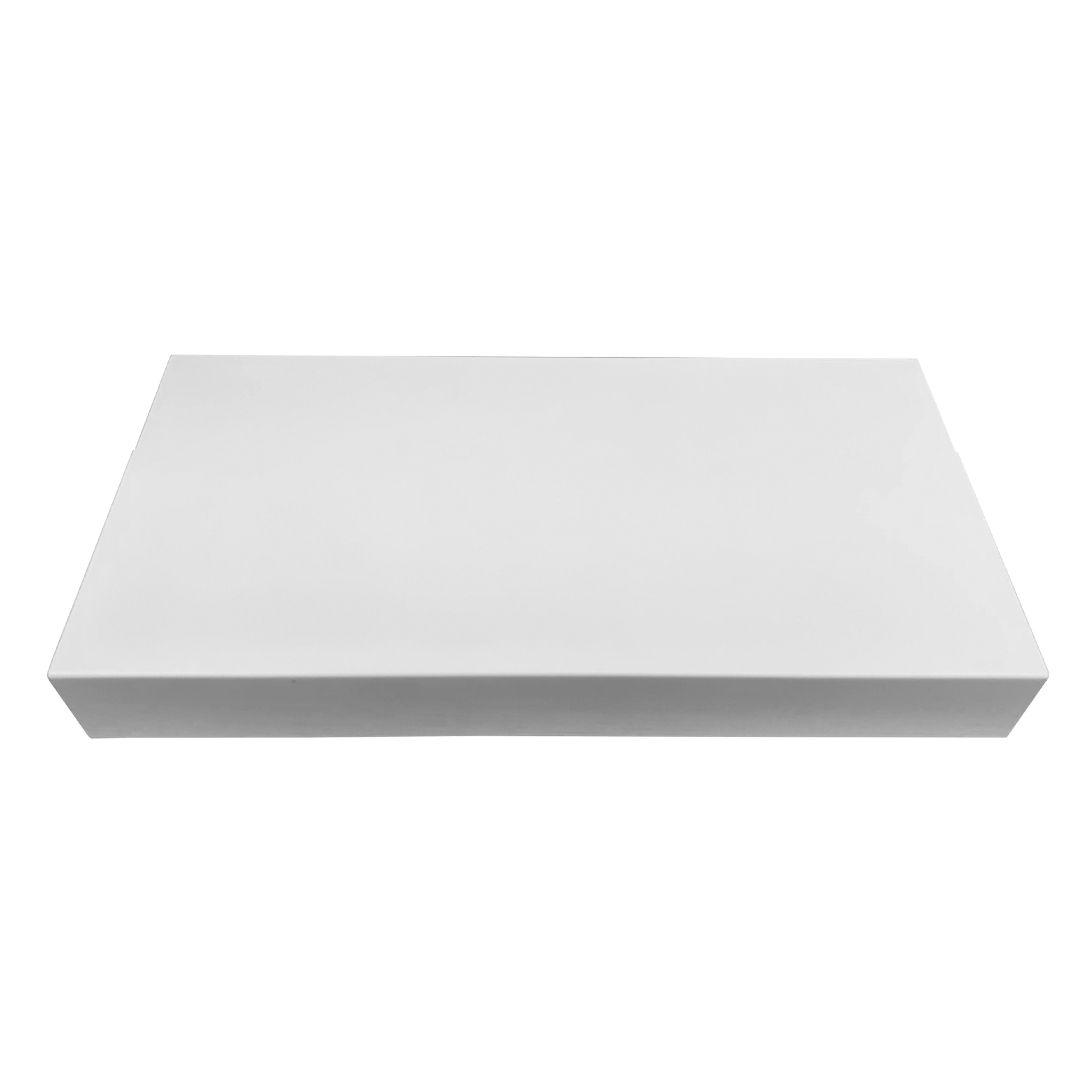 Blank (Double) Arcade Controller